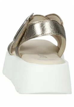 Gabor Sandalias - Puder 12 Gabor Sandalias - Puder -Zapato Gabor Tienda 08f02f6e0bd142a0803d1aa172781aed